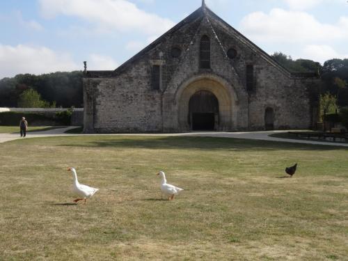 2018 - 02 La Grange de Meslay (03)