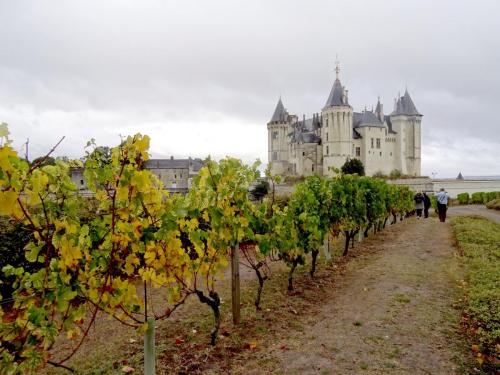 2018 - 05 Saumur (09)