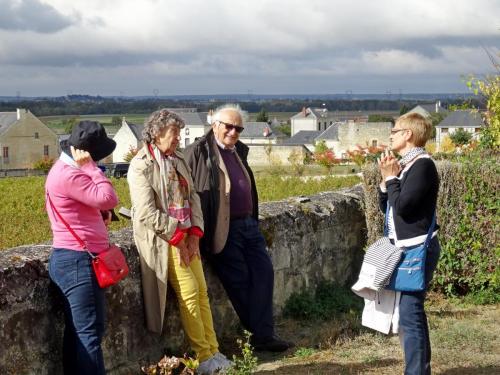 2018 - 06 Château de Brézé (17)