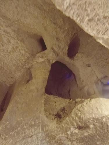 2018 - 06 Château de Brézé (34)