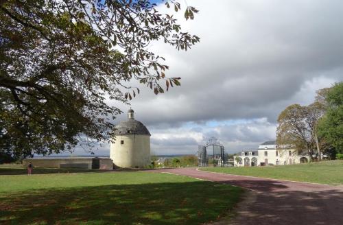 2018 - 06 Château de Brézé (08)