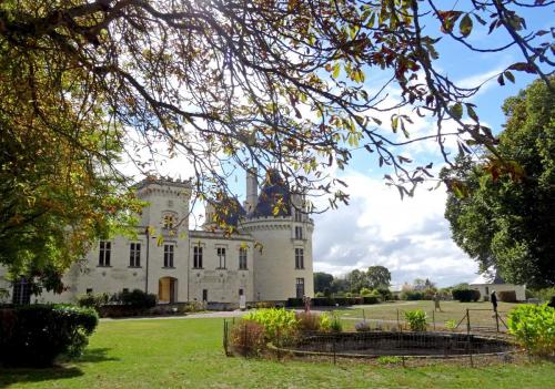 2018 - 06 Château de Brézé (09)