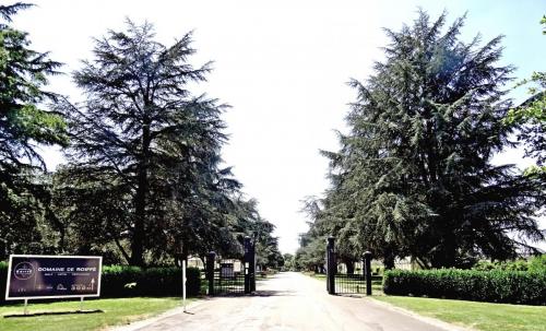 2018 - 08.1 Golf de Roiffé