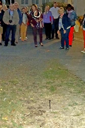 2018 - 11 Villebernier (20)