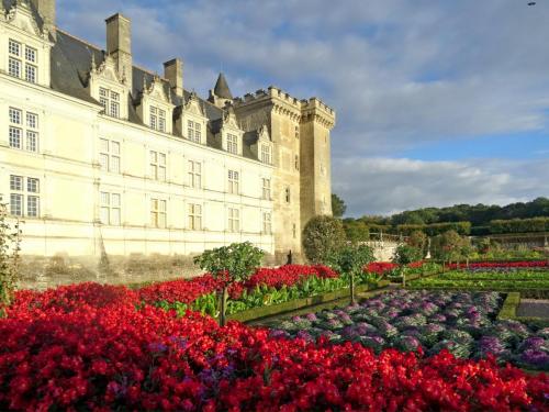 2018 - 17 Villandry (12)