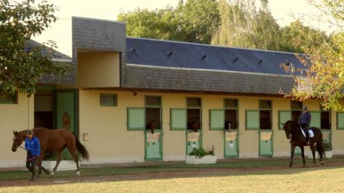 2018 - 18 Le Cadre Noir (12)