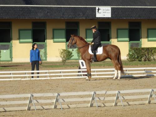 2018 - 18 Le Cadre Noir (13)