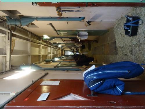 2018 - 18 Le Cadre Noir (16)