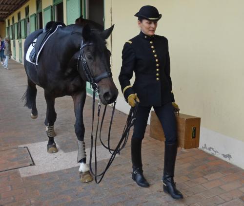 2018 - 18 Le Cadre Noir (22)