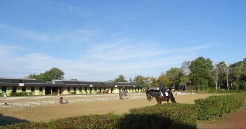 2018 - 18 Le Cadre Noir (08)