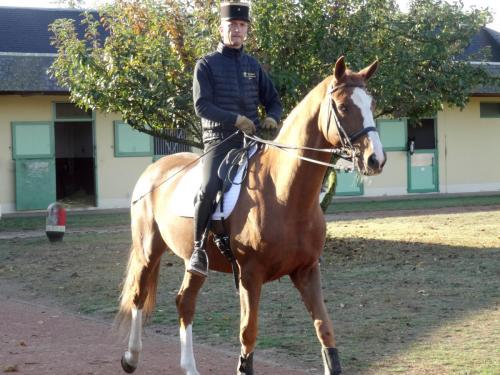 2018 - 18 Le Cadre Noir (09)