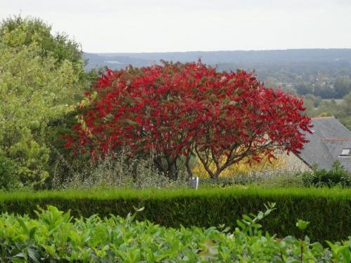 2018 - 20 'Les Terrasses de Saumur' (02)