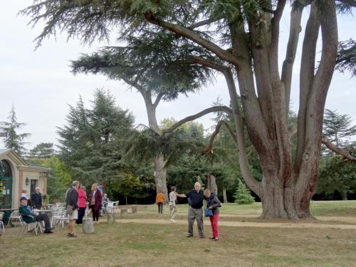 2018 - 21 Château de Brissac (02)