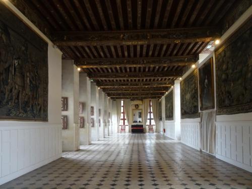 2018 - 21 Château de Brissac (05)