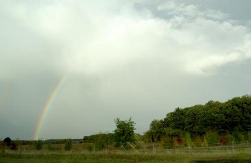 2018 - 22 Doué-la-Fontaine (04)