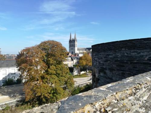 2018 - 12 Angers (14.1) (1)