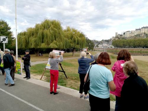 2018 - 13 Chinon (01.1) (1)