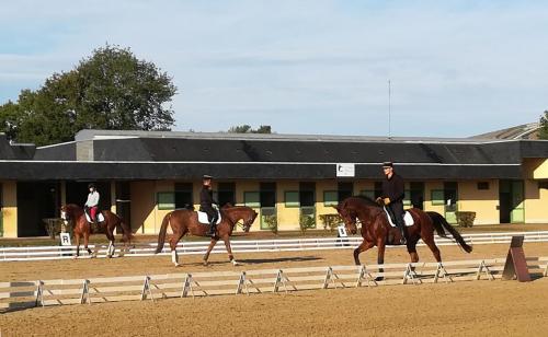 2018 - 18 Le Cadre Noir (11.1)