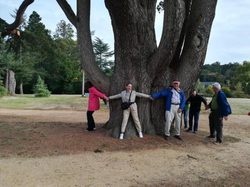 2018 - 21 Château de Brissac (03.1)