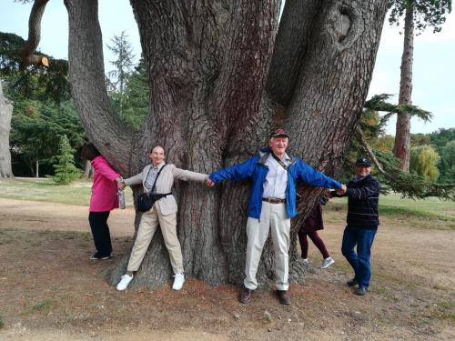 2018 - 21 Château de Brissac (03.2)