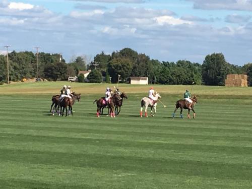 2019 Brandywine Valley (1)